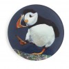 Ceit MacKay puffin glass coaster - Made in the UK by Hope Blamire